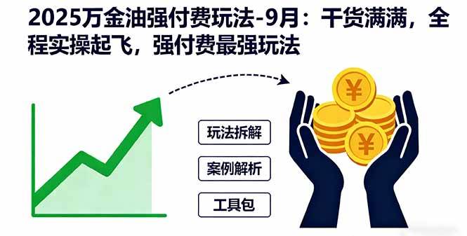 （16202期）2025万金油强付费玩法-9月：干货满满，全程实操起飞，强付费最强玩法-梦帆创业网