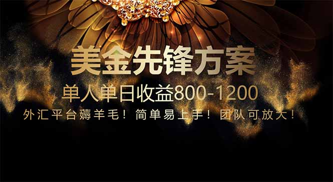 免费技术！小众赛道！一年布局抵三年努力，每日800+-梦帆创业网
