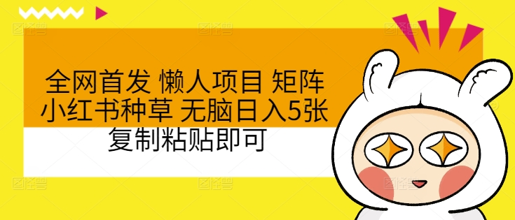 全网首发 懒人项目 矩阵小红书种草 无脑日入5张 复制粘贴即可-梦帆创业网
