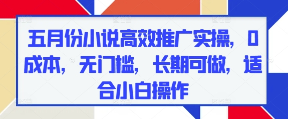 五月份小说高效推广实操，0成本，无门槛，长期可做，适合小白操作-梦帆创业网