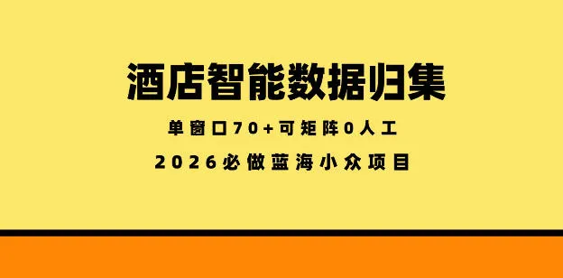 酒店智能数据归集，小众蓝海已经稳定半年之久，单窗口70+零成本矩阵开干【揭秘】-梦帆创业网
