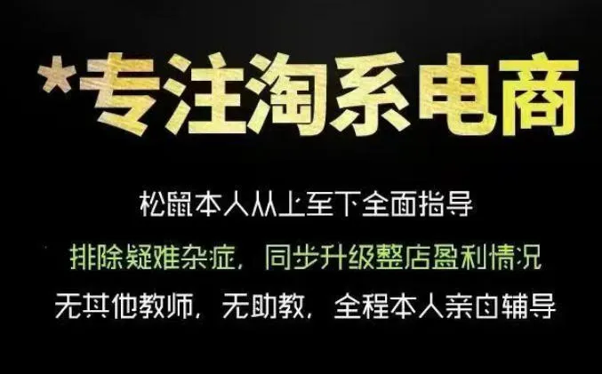 松鼠会电商VIP课程，从基础布局到高阶优化，助你掌握淘宝运营逻辑，提升店铺流量与转化-梦帆创业网