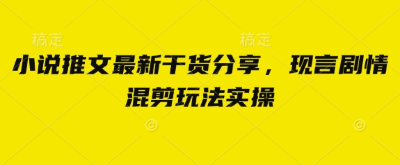 小说推文最新干货分享，现言剧情混剪玩法实操-梦帆创业网
