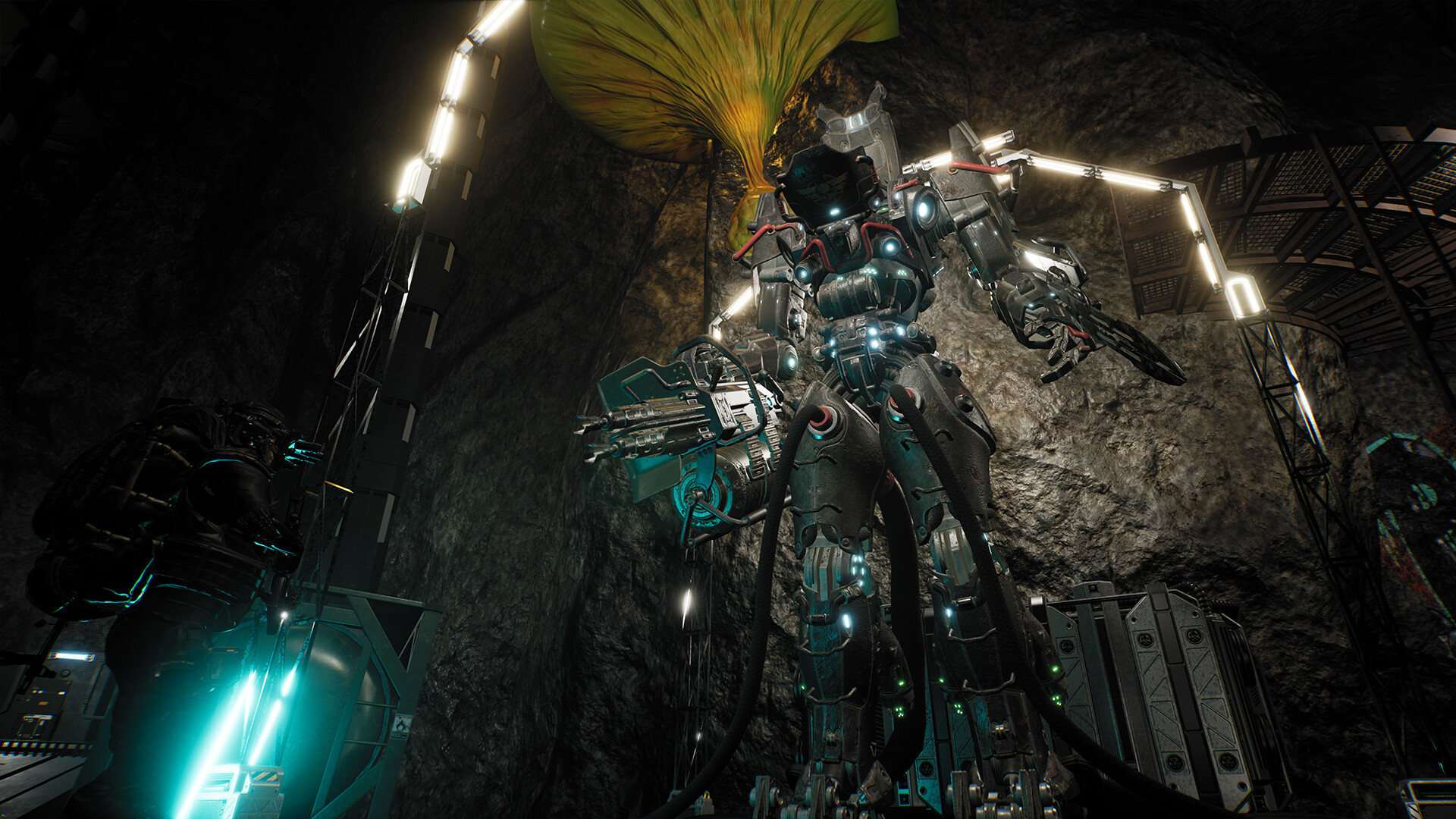 生命效应/LIFE EFFECT