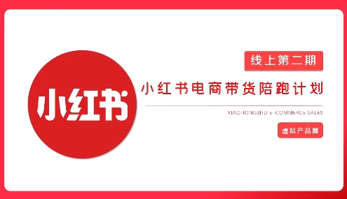 2025小红书虚拟电商实战课，从0到1打造无货源店铺，AI+爆款笔记轻松变现-梦帆创业网