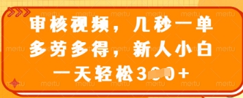 审核视频，几秒一单，多劳多得，新人小白一天轻松3张【揭秘】-梦帆创业网