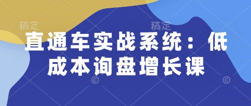 直通车实战系统：低成本询盘增长课，让个人通过技能实现升职加薪，让企业低成本获客，订单源源不断-梦帆创业网