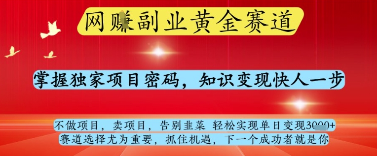 网创副业黄全赛道，掌握独家项目密码，知识变现快人一步，告别韭菜轻松实现单日变现1k+【揭秘】-梦帆创业网