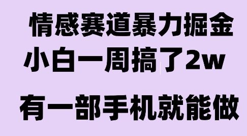 情感暴力掘金项目，新人操作一周挣了2W，长期稳定小白可做【揭秘】-梦帆创业网