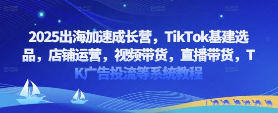 2025出海加速成长营，TikTok基建选品，店铺运营，视频带货，直播带货，TK广告投流等系统教程-梦帆创业网