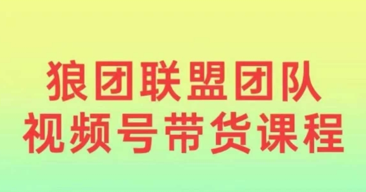 狼团联盟2024视频号带货，0基础小白快速入局视频号-梦帆创业网