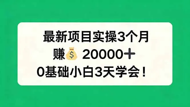 （17856期）最新项目实操3个月，赚钱20000+，0基础小白3天学会！-梦帆创业网
