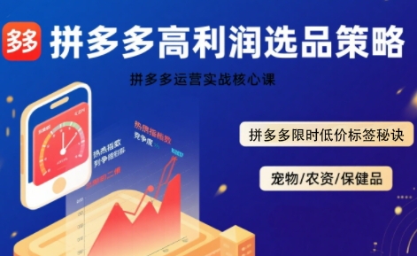 拼多多选品暴利技术实战课，拼多多高利润选品策略，拼多多限时低价标签秘诀-梦帆创业网