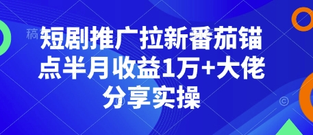 短剧推广拉新番茄锚点半月收益1万+大佬分享实操-梦帆创业网