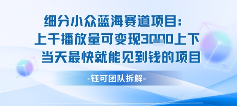 小众蓝海赛道项目：当天变现1k+适合新手操作 +适合长期玩-梦帆创业网