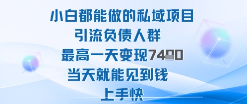 2025年小白都能做的私域项目引流负债人群最高一天变现1k+高变现难度低当天就能见到钱上手快-梦帆创业网