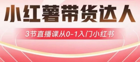 小红薯达人带货启航计划，3节直播课从0-1入门小红书-梦帆创业网