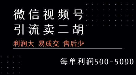 视频号卖二胡教程，利润大 易成交 售后少，一单利润5张+-梦帆创业网