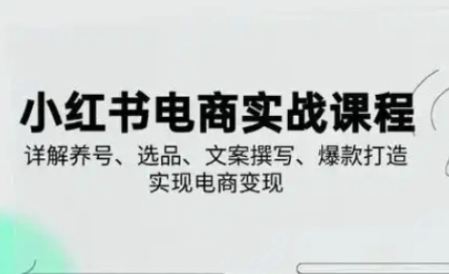 小红书从0-1实操课(2023-2025)，详解养号、选品、文案撰写、爆款打造实现电商变现-梦帆创业网