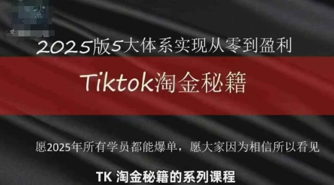 TikTok跨境2025淘金秘籍，​2025TikTok从0到盈利变现-梦帆创业网