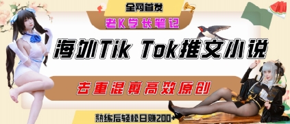海外tiktok小说推文暴力项目，高停留率，高转化率，上手后一天搞顿饭钱不是问题-梦帆创业网