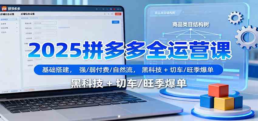 2025拼多多全运营课：基础搭建，强/弱付费/自然流，黑科技 + 切车/旺季爆单-梦帆创业网