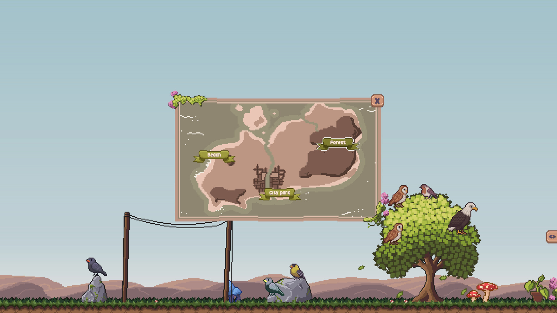 桌面鸟舍：小小鸟陪你摸大鱼/Little Aviary