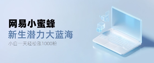 网易小蜜蜂，最新大蓝海项目，单日轻松日涨千粉-梦帆创业网