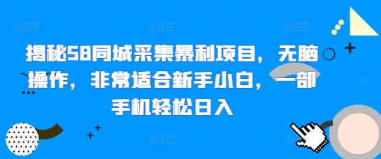 揭秘58同城采集暴利项目，无脑操作，非常适合新手小白，一部手机轻松日入-梦帆创业网