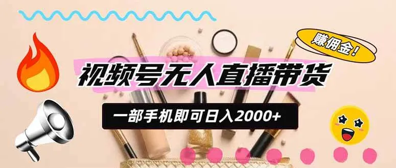 （20315期）视频号带货，一天2000+，一部手机即可开展的完美副业，无需投资-梦帆创业网