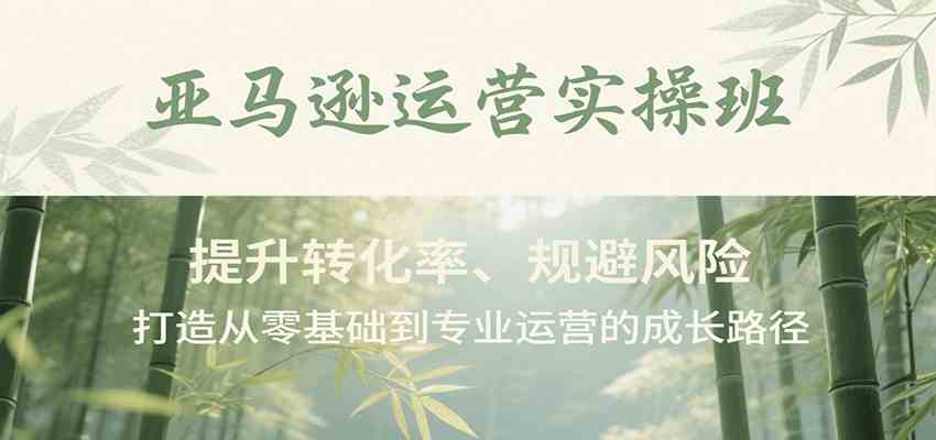 亚马逊运营实操班，提升转化率、规避风险，打造从零基础到专业运营的成长路径-梦帆创业网
