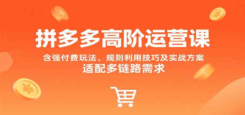 拼多多高阶运营课，含强付费玩法、规则利用技巧及实战方案，适配多链路需求-梦帆创业网