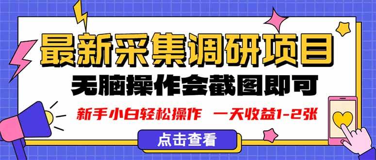 （16155期）新版采集调研项目，截图上传即可，无脑操作，日收益1-2张-梦帆创业网
