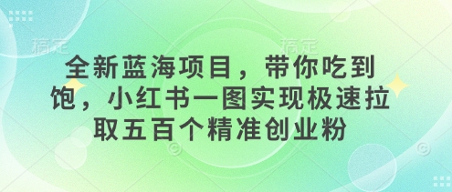 全新蓝海项目，带你吃到饱，小红书一图实现极速拉取五百个精准创业粉-梦帆创业网
