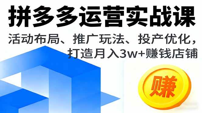 （16135期）拼多多运营实战课，活动布局、推广玩法、投产优化，打造月入3w+赚钱店铺-梦帆创业网