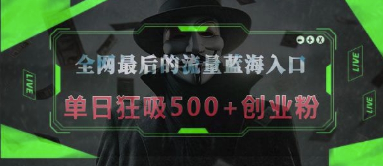 全网最后的流量蓝海入口，半小时引流50+创业粉，单日狂吸500+创业粉-梦帆创业网