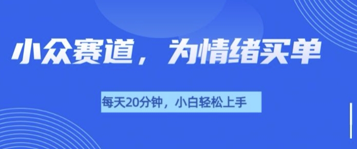 小众赛道，我的治愈系电子抱枕，让用户为情绪买单-梦帆创业网