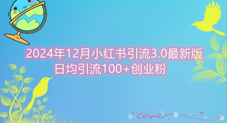 2024年12月小红书引流最新版，日均引流100+创业粉-梦帆创业网