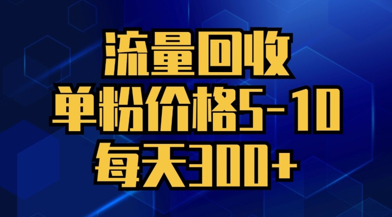 流量回收，单粉价格5-10，每天300+，轻松月入五位数-梦帆创业网