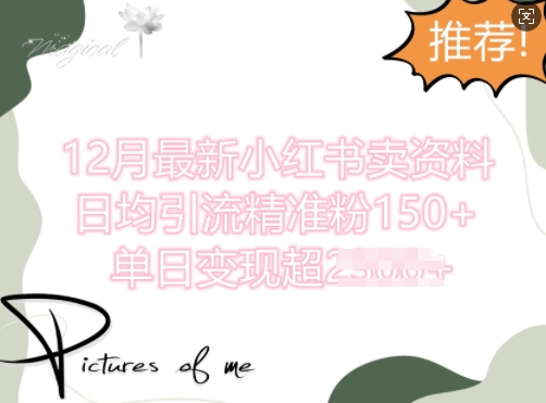 12月最新小红书日均引流精准粉100+，单日变现多张-梦帆创业网