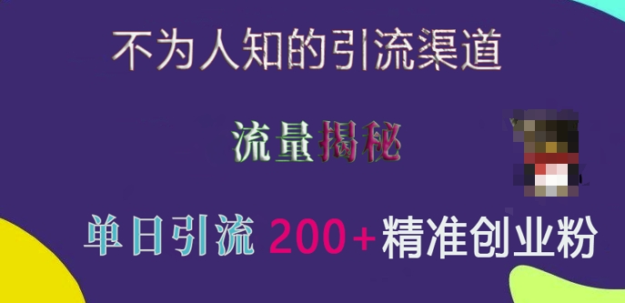不为人知的引流渠道，流量揭秘，实测单日引流200+精准创业粉【揭秘】-梦帆创业网