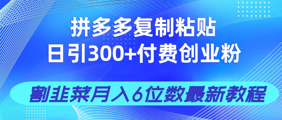 拼多多复制粘贴日引300+付费创业粉，割韭菜月入6位数最新教程！-梦帆创业网