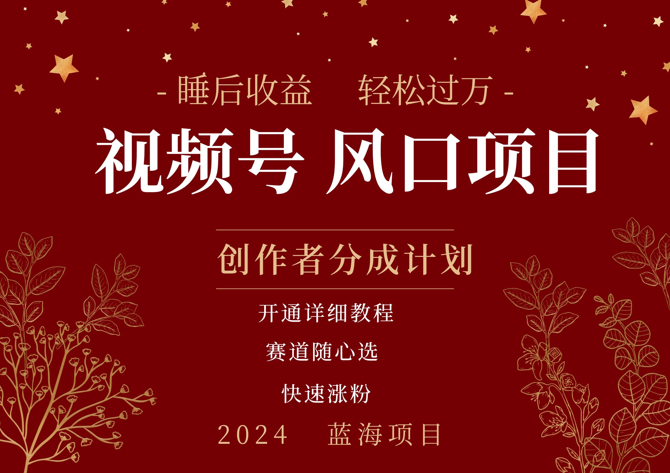 拥有睡眠收益的微信视频号大风口项目，轻松月入过万+，多赛道选择，可矩阵，玩法简单轻松上手-梦帆创业网