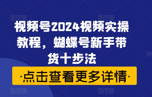 视频号2024视频实操教程，蝴蝶号新手带货十步法-梦帆创业网