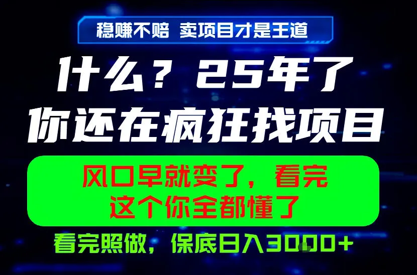 26年，请不要疯狂的找项目做了！卖项目才是真的稳賺不赔，看完照做，保底日入1k+【揭秘】-梦帆创业网