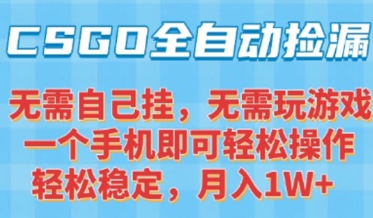 CSGO自动捡漏项目，最新独家玩法，一个手机可操作，新手小白轻松月入1W+，操作简单易上手【揭秘】-梦帆创业网