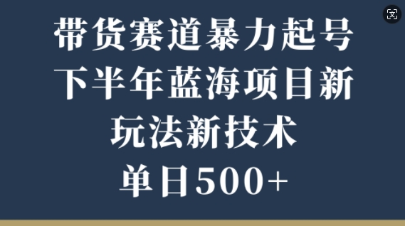 带货赛道暴力起号，下半年蓝海项目，新玩法新技术，单日500+-梦帆创业网