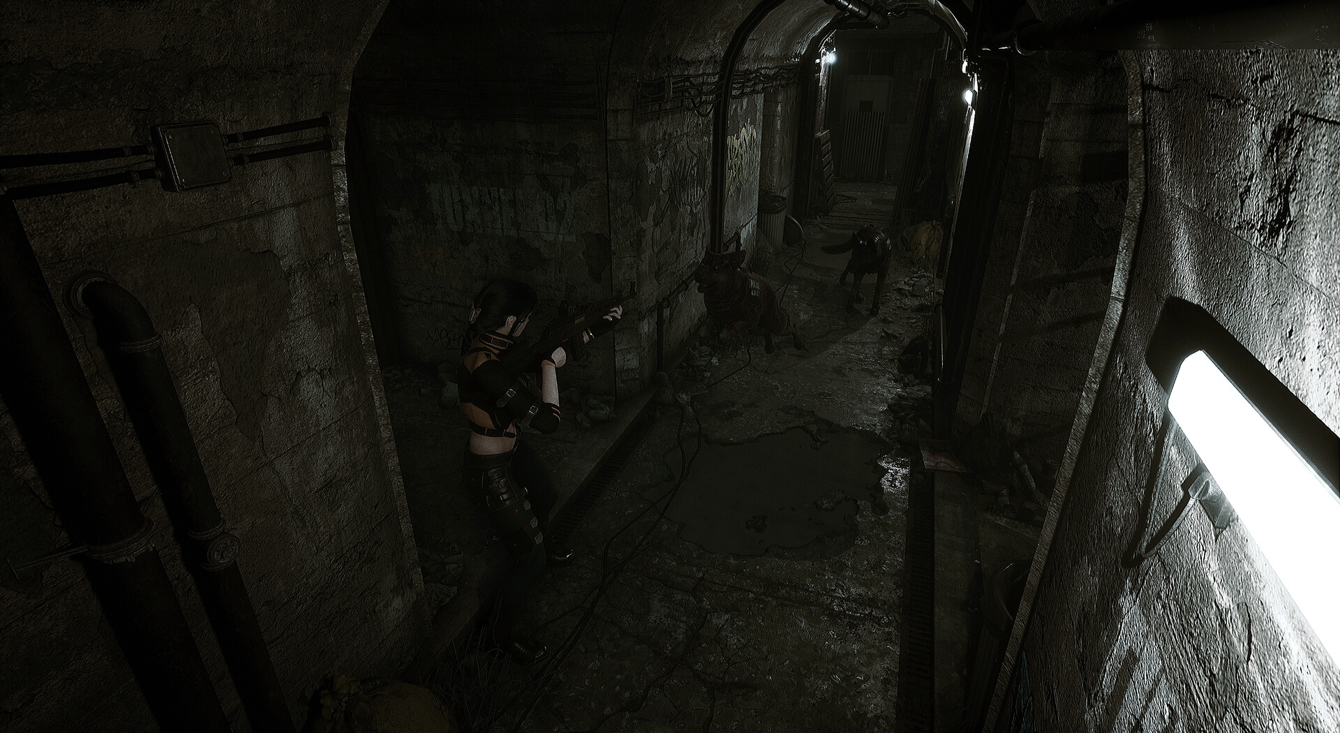 生者回响/Echoes of the Living-梦帆创业网