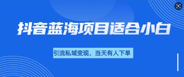 抖音蓝海小赛道私域变现项目，单价9.9单天变现100+，实操玩法分享给你-梦帆创业网