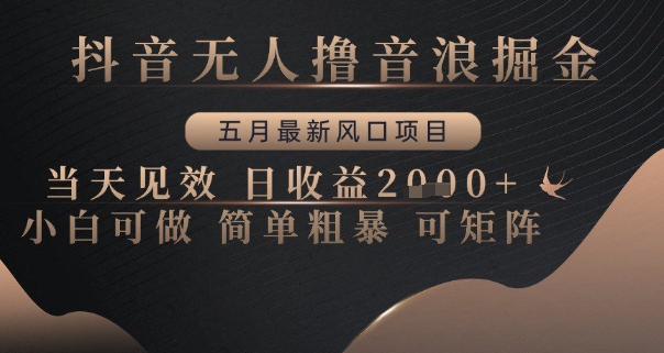 抖音无人撸音浪掘金，五月最新风口项目，当天见效，日收益多张，小白可做简单粗暴可矩阵【揭秘】-梦帆创业网